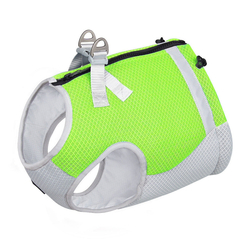 Summer Pet Dog