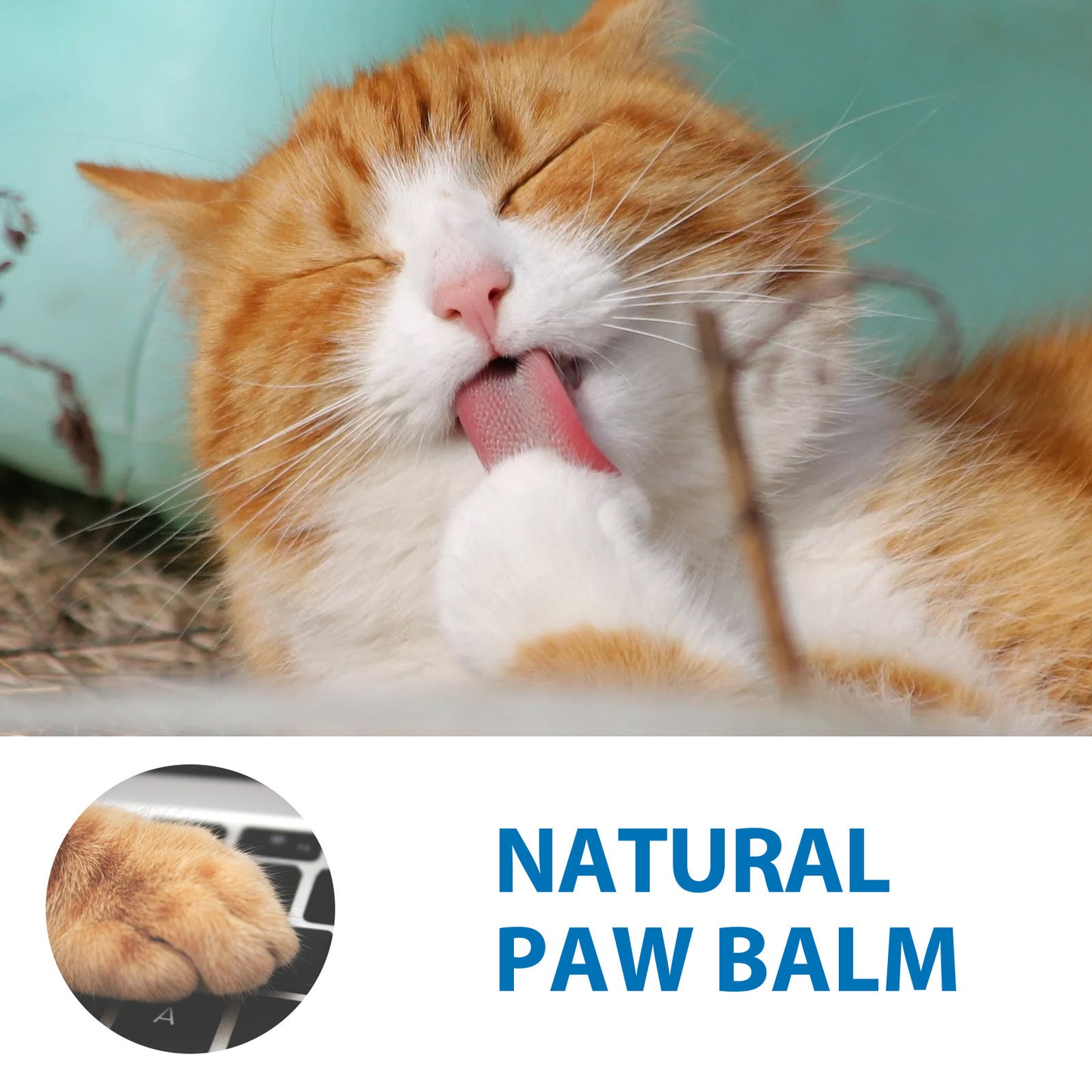 Cat's Paw Stick Repair Crack-proof