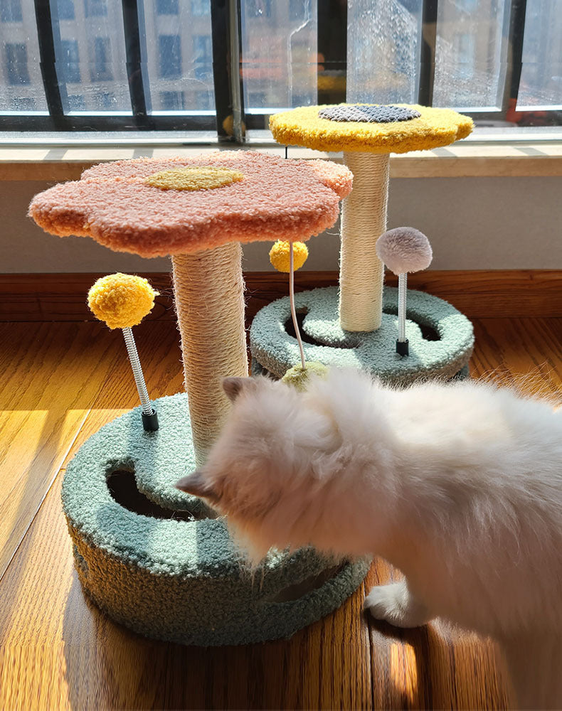 Katzenkratzbrett Krallen Schleifen Katzen Spielzeug