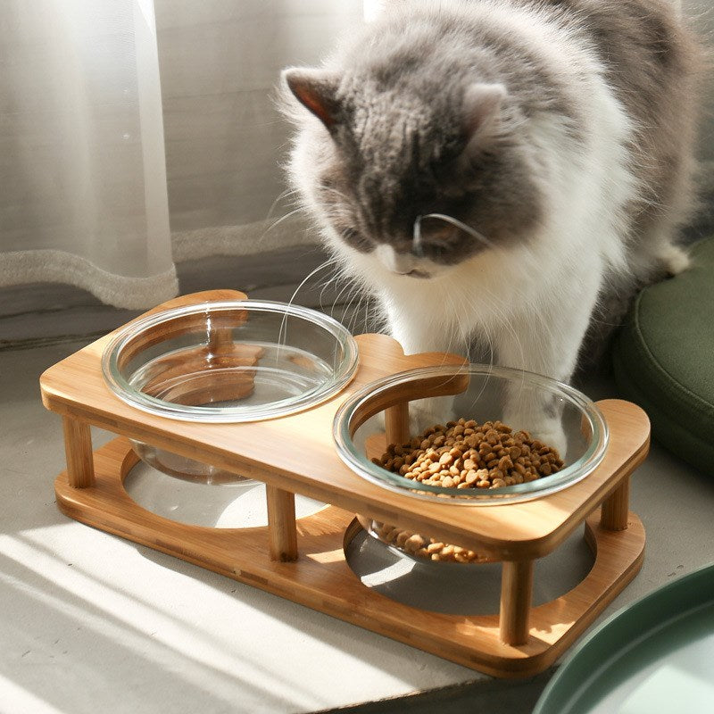 Glas Katzennapf Katzenfutternapf Katzenfutternapf