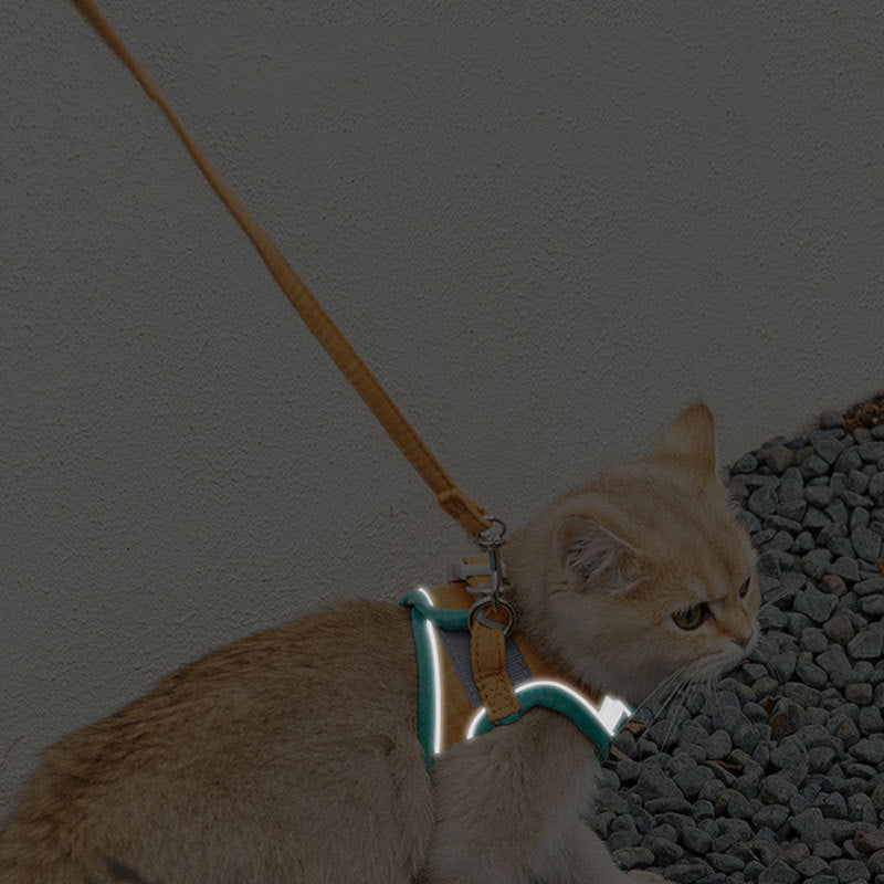 Cat Harness - Reflective Vest-Style Chest Strap for Safe Outdoor Walking