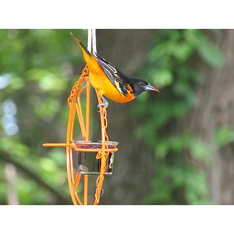 Oriole Bird Feeder