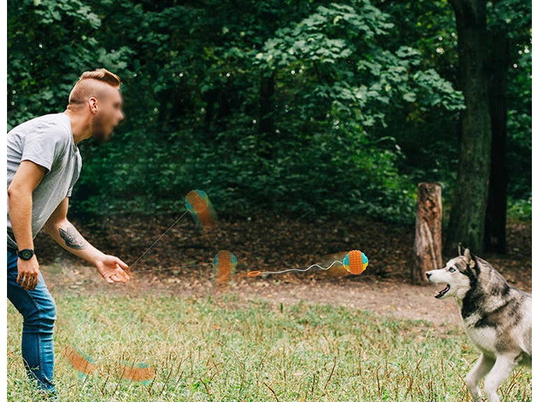 Dog Training Ball with Rope - ABS Teeth Grinding Chew Toy