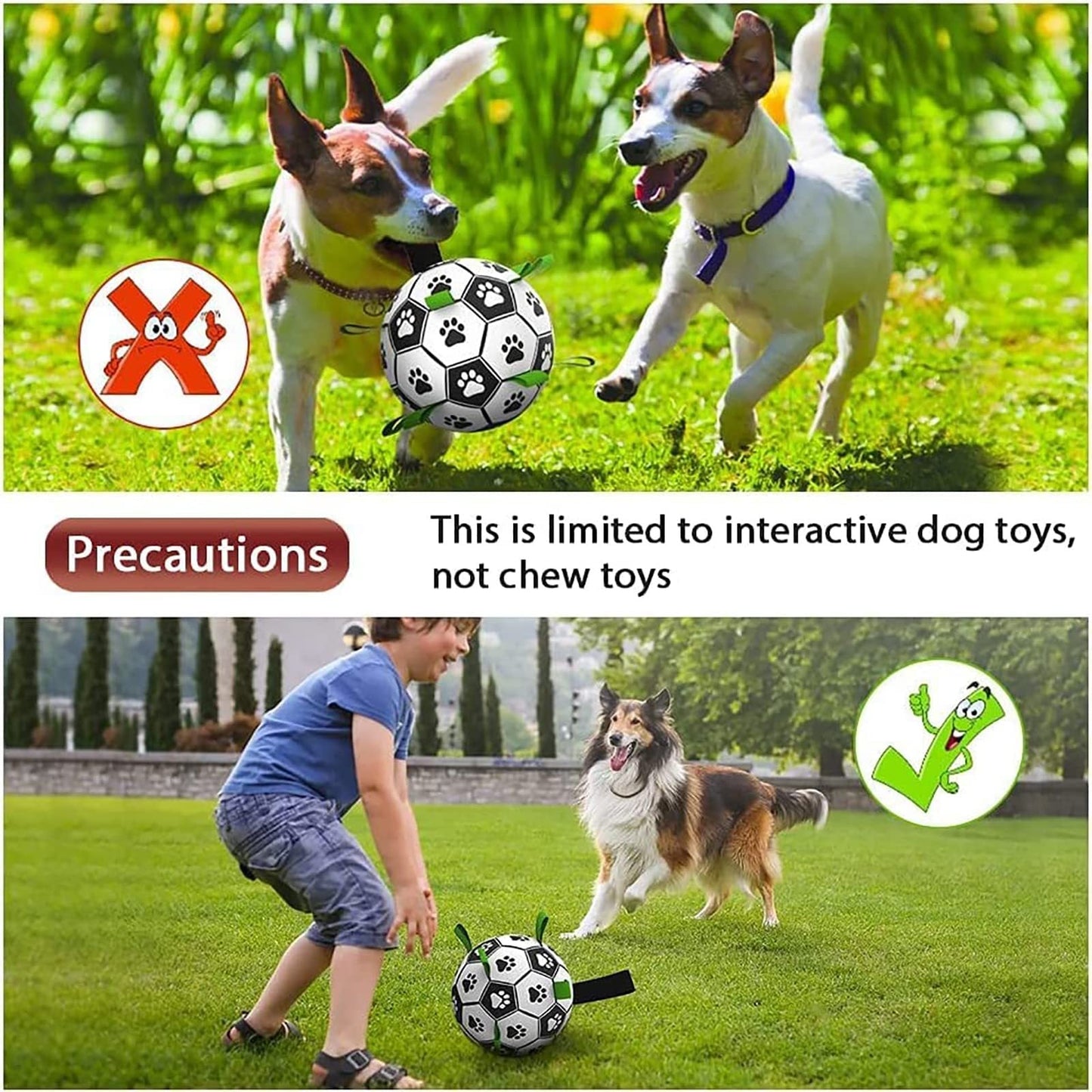 Pet Supplies