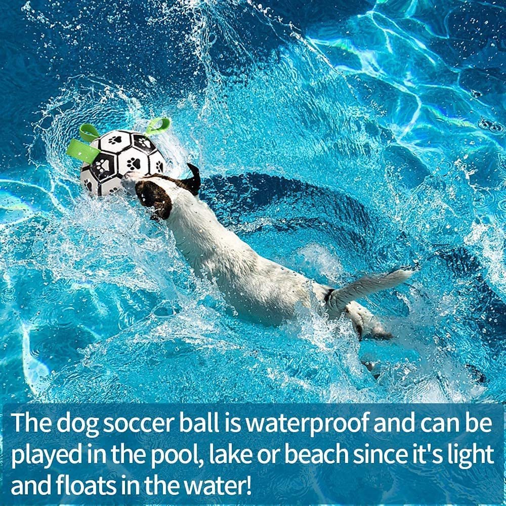 Pet Supplies