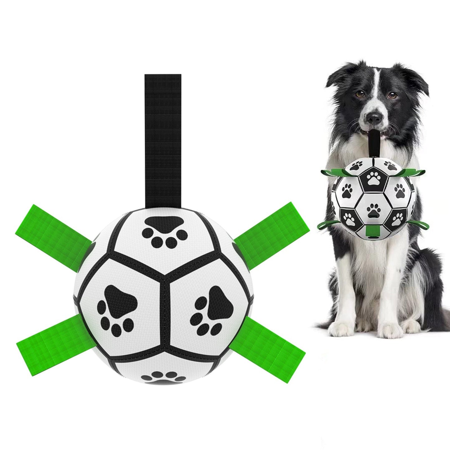 Pet Supplies