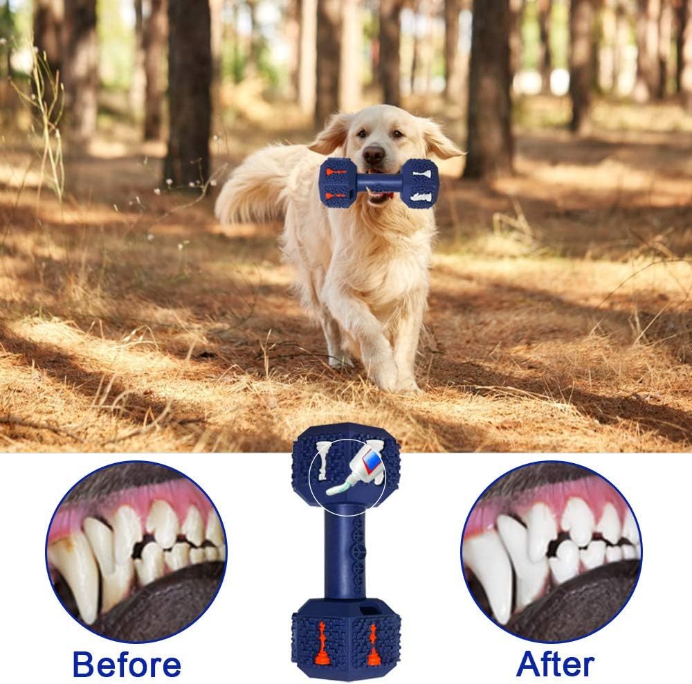 Dog Chew Toys