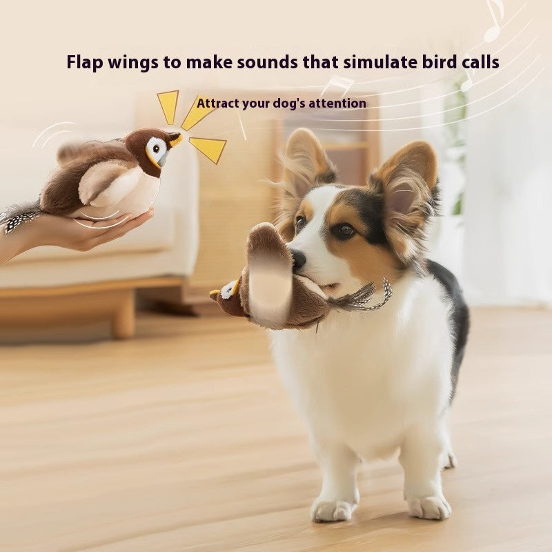 Interactive Bird Interactive B