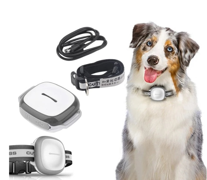 Halsband Katze Hund Tracker Haustier Locator Haustier