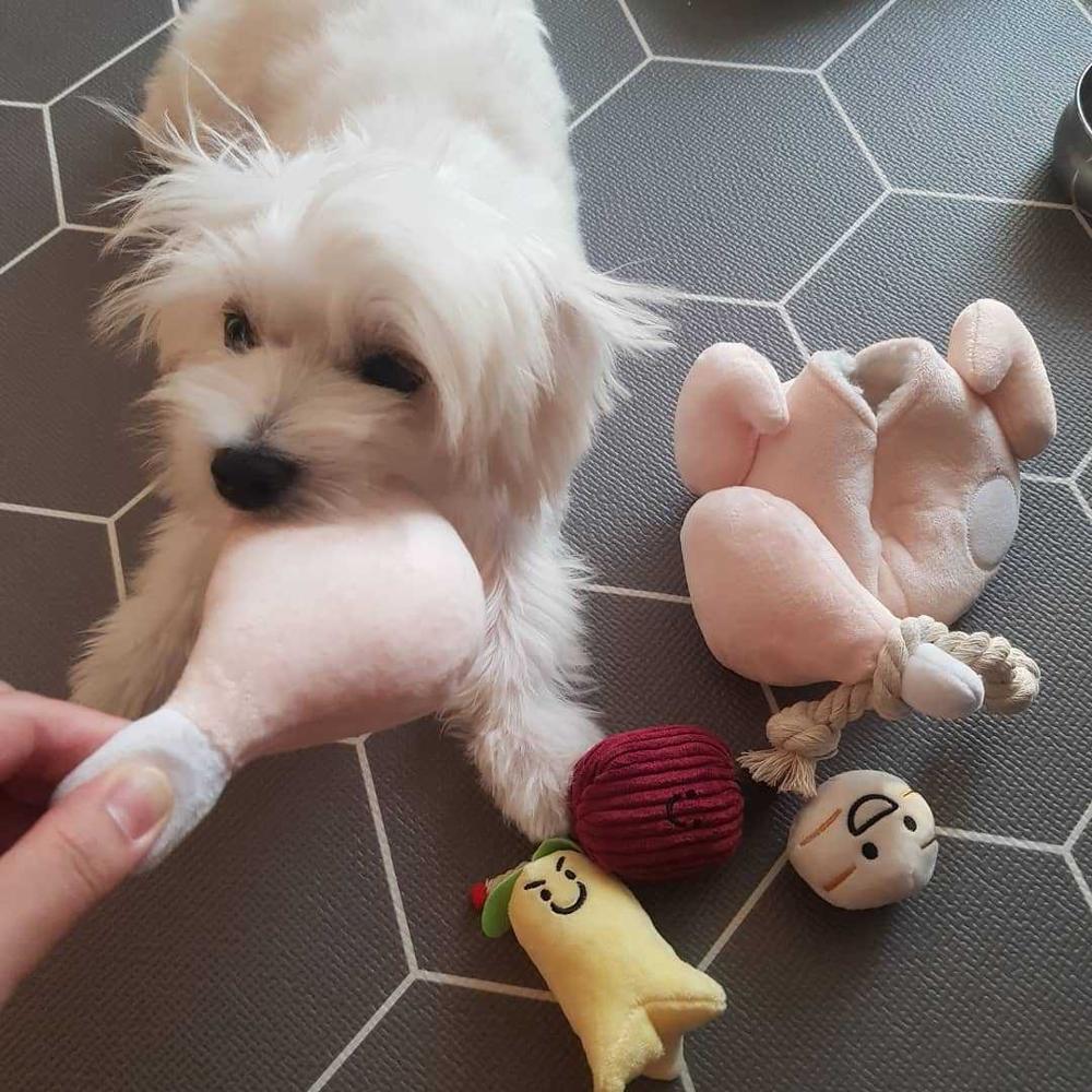 Cartoon Cute Pet Dog