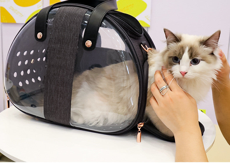 Doppelter Fisch Transparente Hundetasche Welpen Katze Cane Rucksack Zubehör Dinge Accessoires Tasche Produkte Kleine Käfig Haustier Tier Sitzbett Doppelter Fisch Transparente Hundetasche Welpen Katze Cane Rucksack Zugang