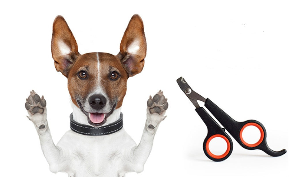 Hundekrallenclipper Haustier-Nagelschneider