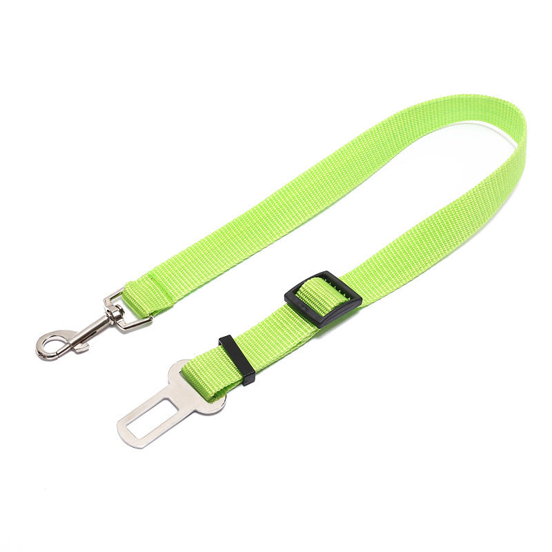 Fester Gurt Polyester Hundegurt Hundeleine Hundeleine