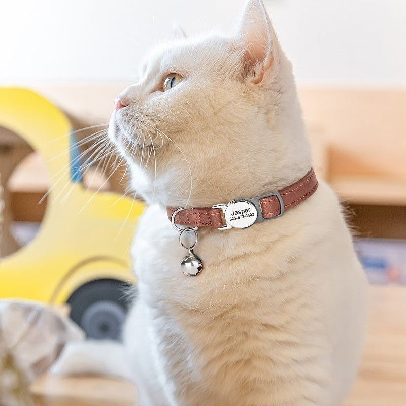 Katzenhalsband mit Gravur zur Verhinderung von Erstickung und Verlust