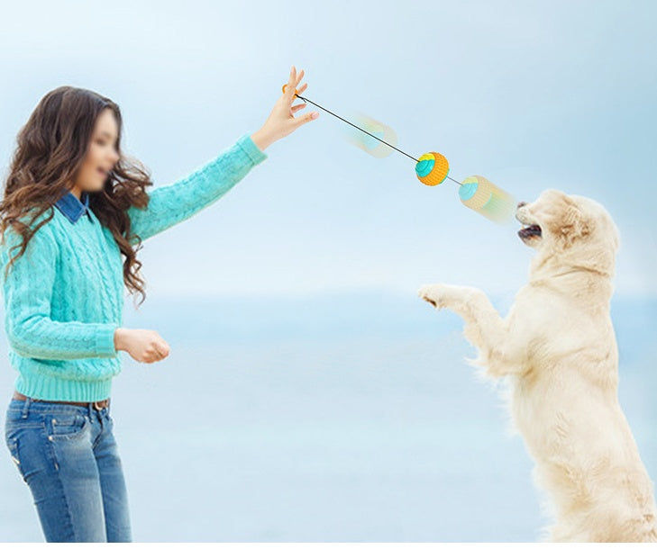 Dog Training Ball with Rope - ABS Teeth Grinding Chew Toy