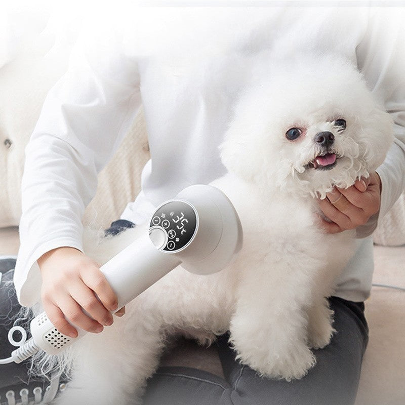 Intelligenter Haustier-Haartrockner Hund Golden Retriever Katze Pflege Friseur Blasen & Kämmen Leise Kein Schaden Haustier Reinigungsbedarf Haustierprodukte
