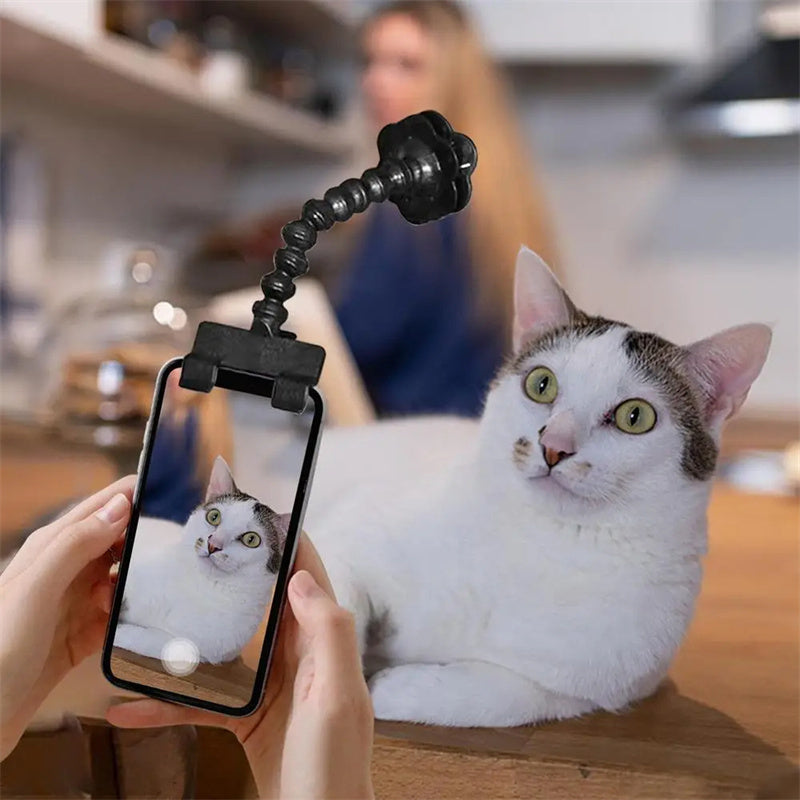 Haustierfotografie-Werkzeug Katze Hund und Hundebetrachtungslinse Teddy Kamera Spielzeug Handy Kamera Halter Selfie Clip Zubehör Haustierprodukte