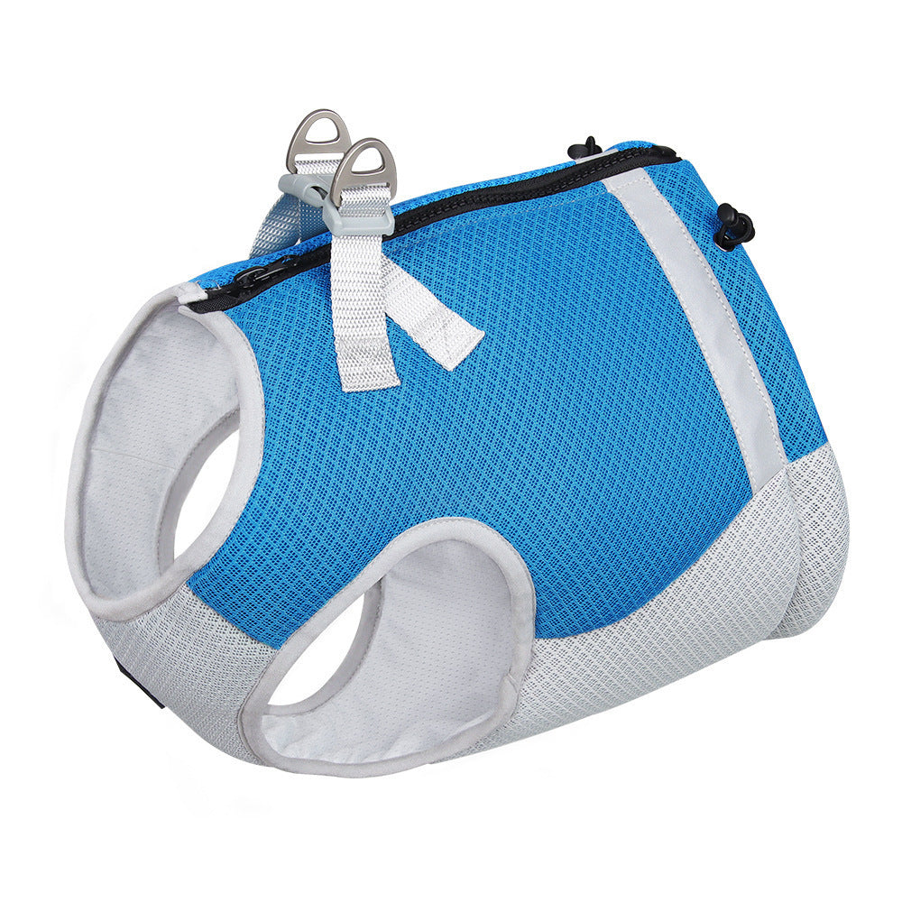 Summer Pet Dog