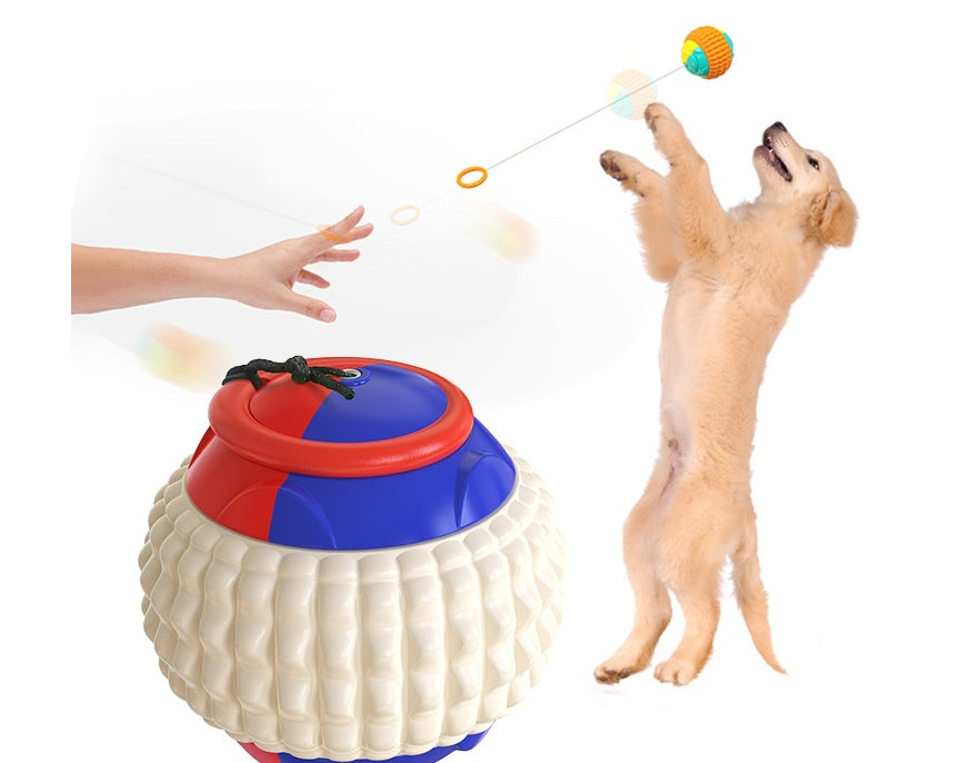 Dog Training Ball with Rope - ABS Teeth Grinding Chew Toy