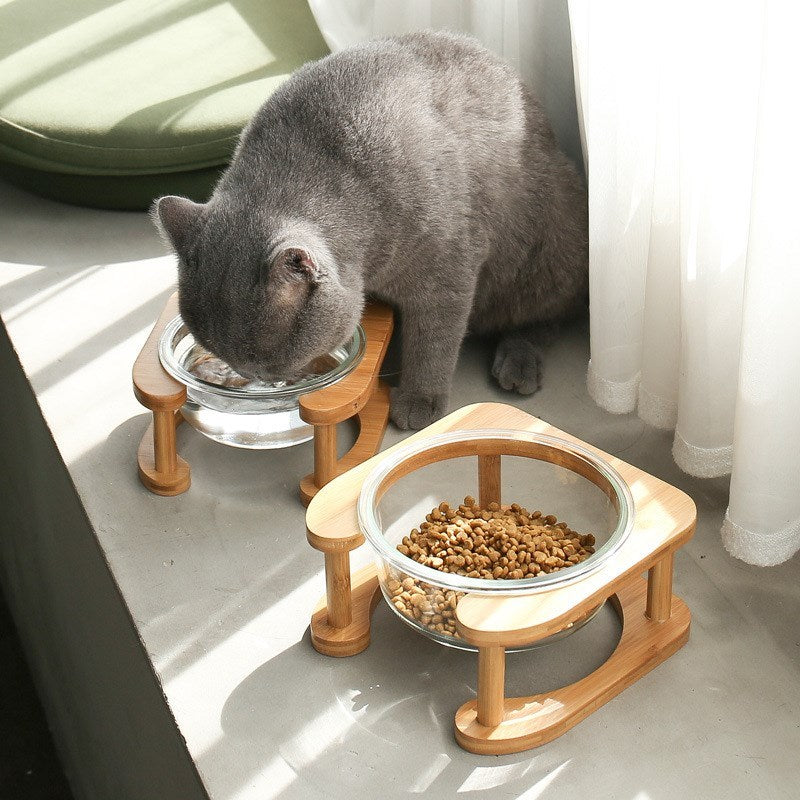 Glas Katzennapf Katzenfutternapf Katzenfutternapf