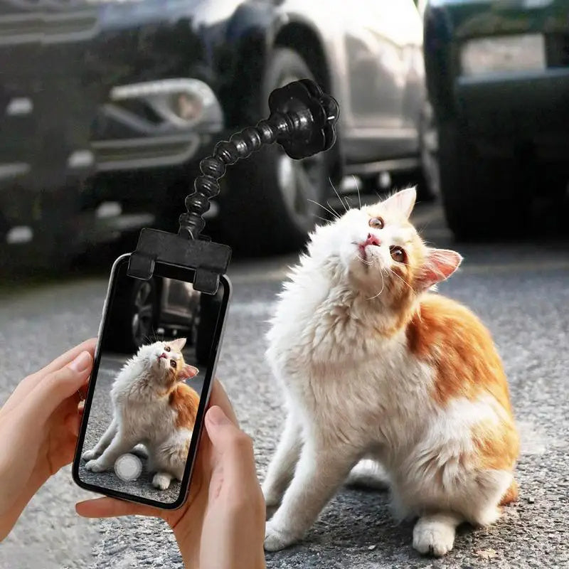Haustierfotografie-Werkzeug Katze Hund und Hundebetrachtungslinse Teddy Kamera Spielzeug Handy Kamera Halter Selfie Clip Zubehör Haustierprodukte