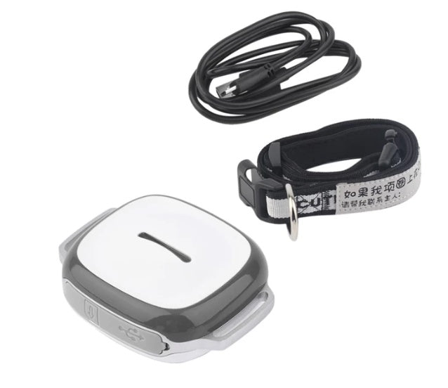Halsband Katze Hund Tracker Haustier Locator Haustier
