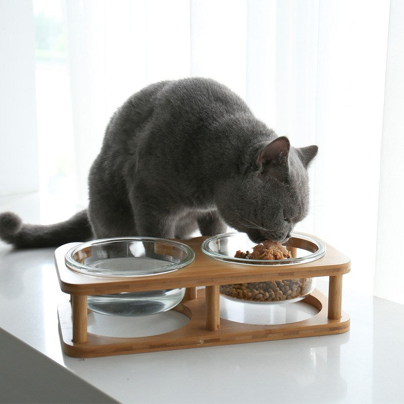 Glas Katzennapf Katzenfutternapf Katzenfutternapf