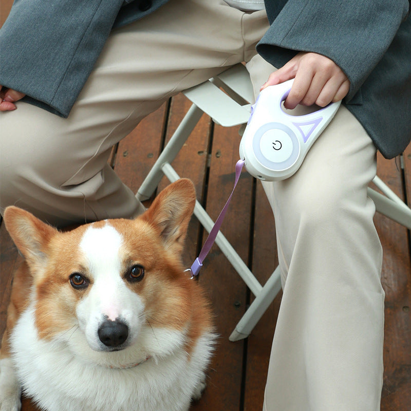 Hundeleine Ausziehbare Leine Und Hundehalsband Spotlight Automatische Haustier Hund Katze Zugseil Für Kleine Mittelgroße Hunde Haustierprodukt