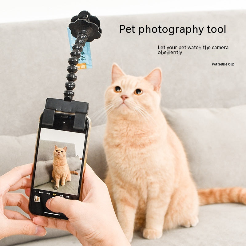 Haustierfotografie-Werkzeug Katze Hund und Hundebetrachtungslinse Teddy Kamera Spielzeug Handy Kamera Halter Selfie Clip Zubehör Haustierprodukte