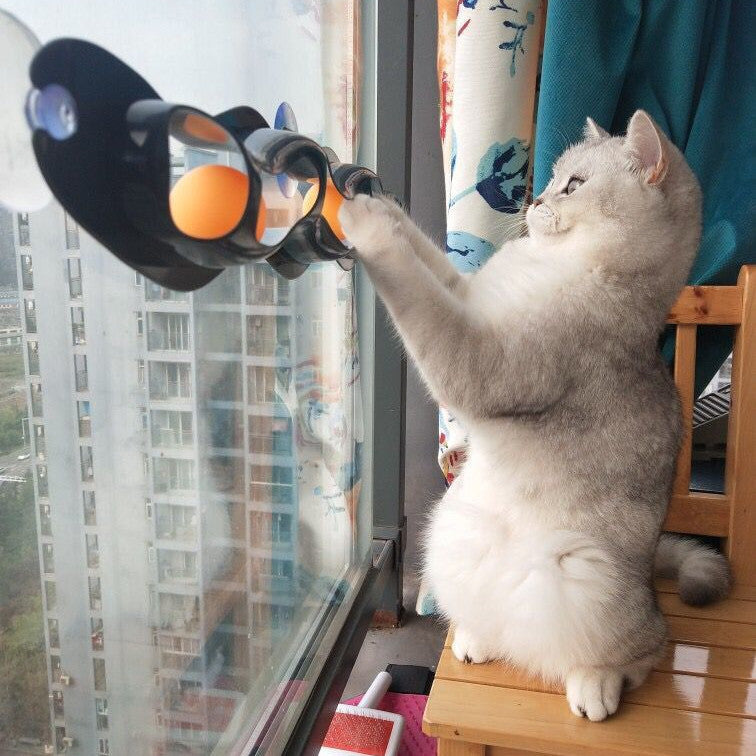 Fensterbank Haustier Spielzeug Katze Bahn Ball Haustier Produkte
