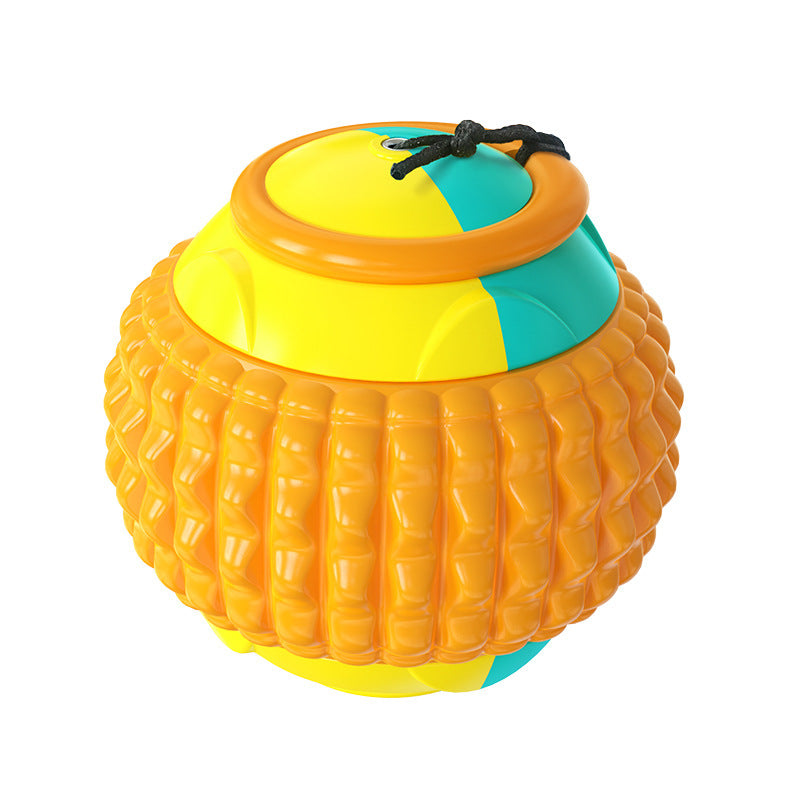 Dog Training Ball with Rope - ABS Teeth Grinding Chew Toy