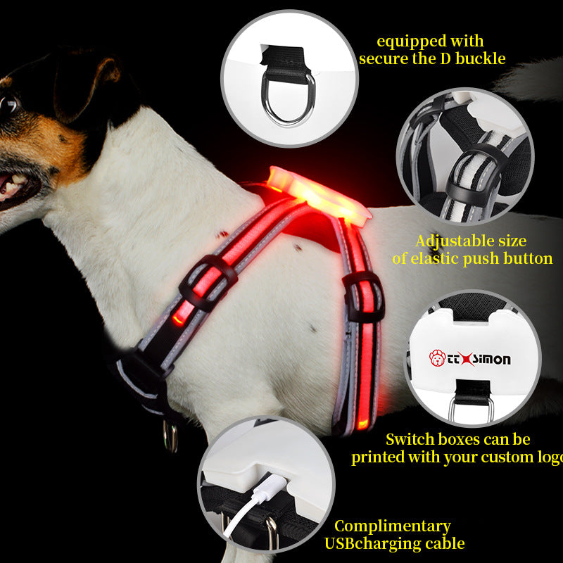 Chaleco para pasear perros de noche con luces LED y correas a prueba de explosiones