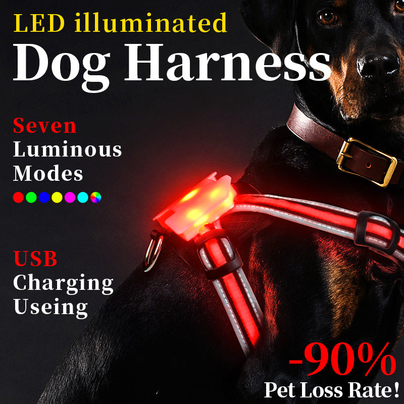 Chaleco para pasear perros de noche con luces LED y correas a prueba de explosiones