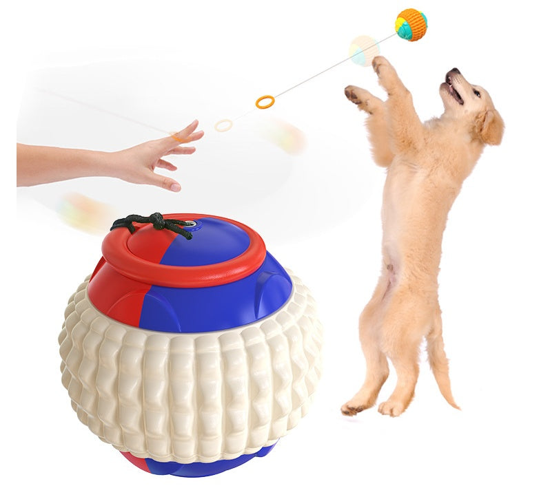 Dog Training Ball with Rope - ABS Teeth Grinding Chew Toy