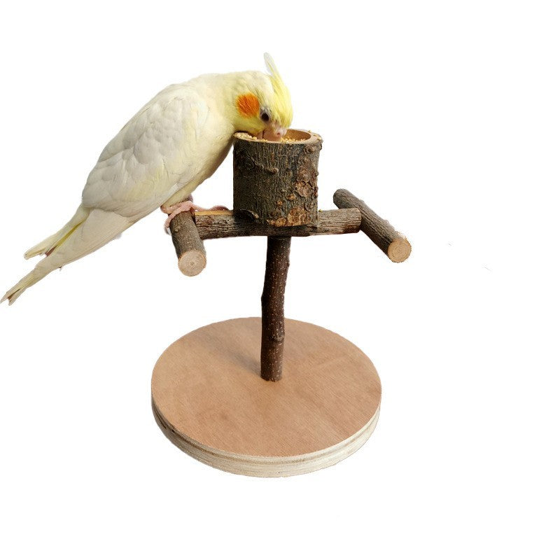 Solid Wood Parrot