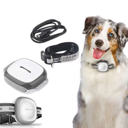 Halsband Katze Hund Tracker Haustier Locator Haustier