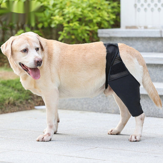 Pet Supplies