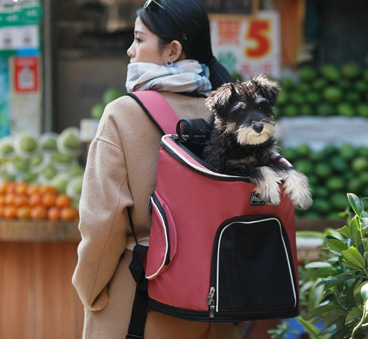 Haustier Hund Rucksack