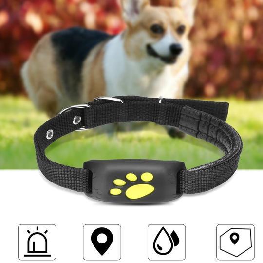 GPS-Haustier-Tracker