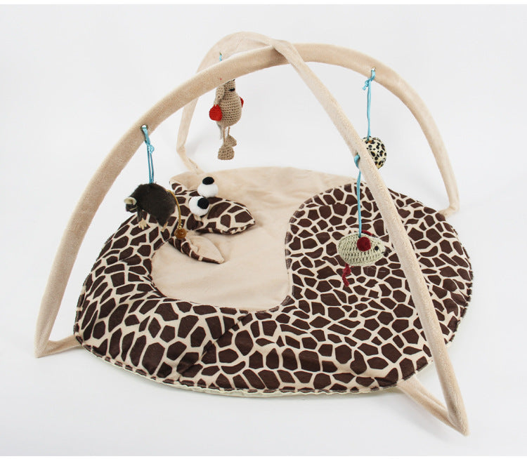 Cat playing bed and dog shityt
