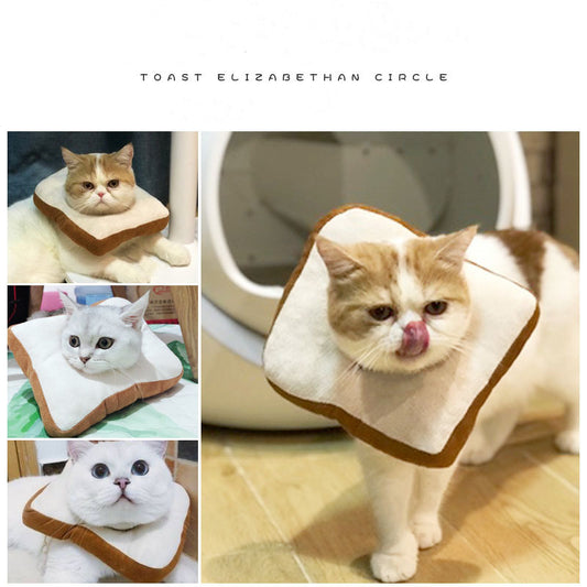 Der Kragen einer Katze schützt ihren Kopf