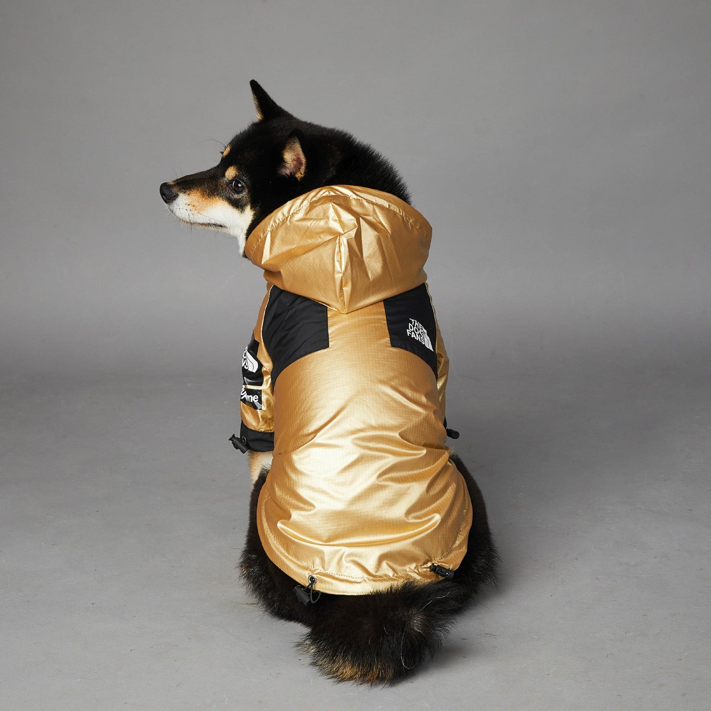 Dog Large Dog Raincoat