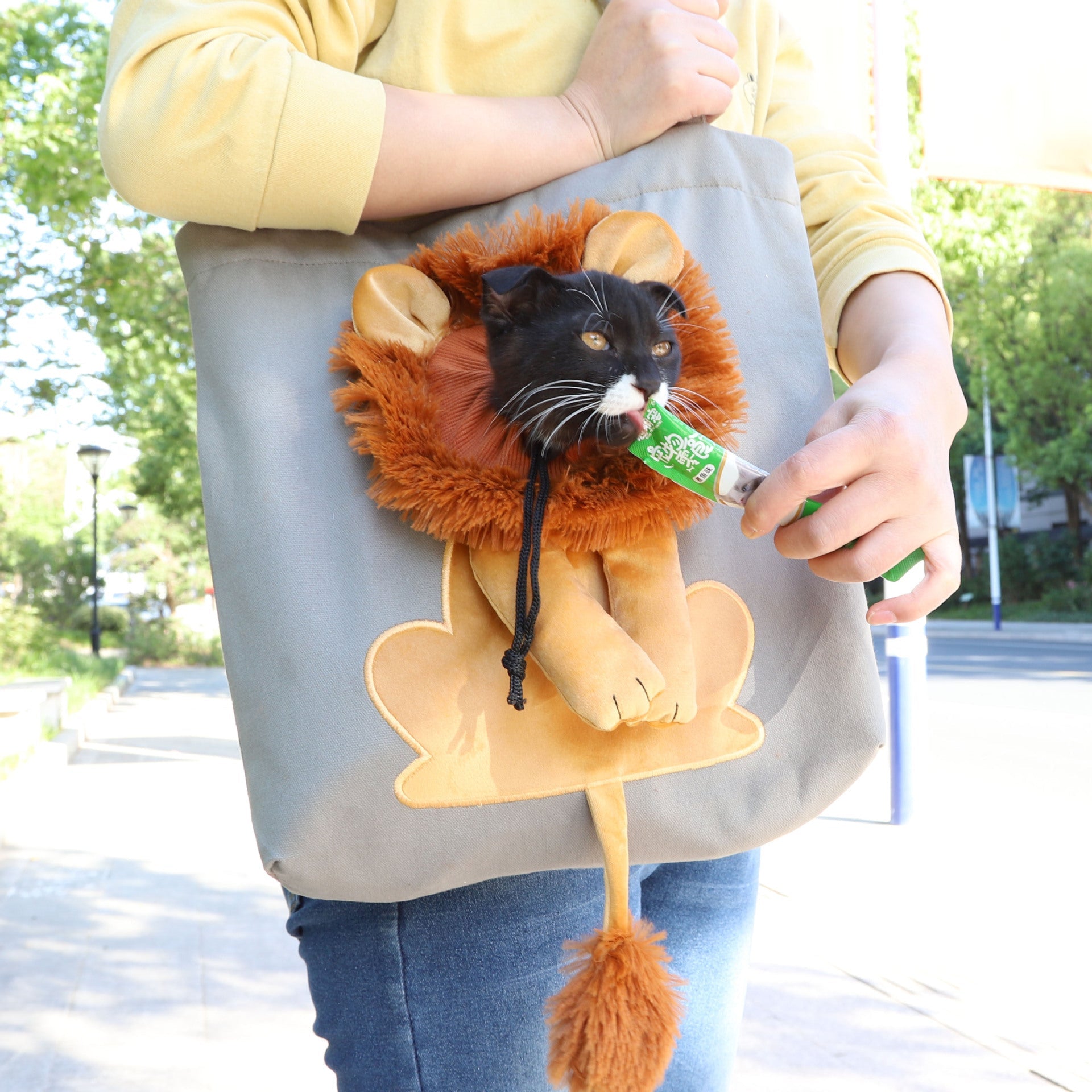 Soft Pet Carriers