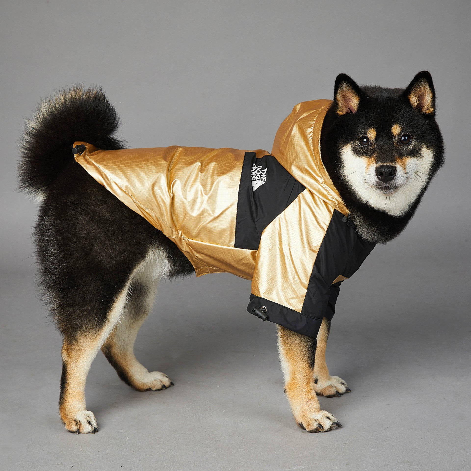 Dog Large Dog Raincoat