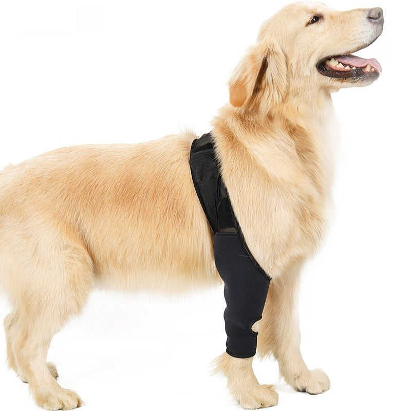 Pet Supplies