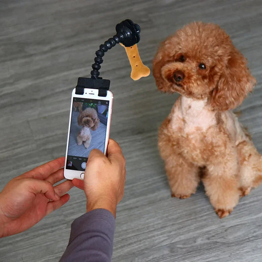 Haustierfotografie-Werkzeug Katze Hund und Hundebetrachtungslinse Teddy Kamera Spielzeug Handy Kamera Halter Selfie Clip Zubehör Haustierprodukte