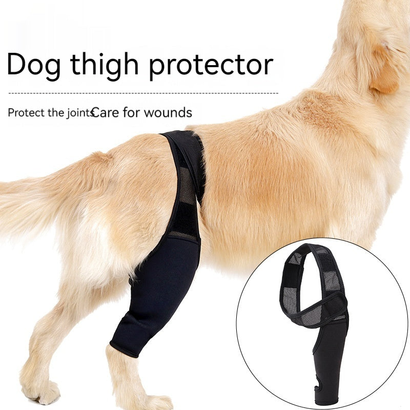 Pet Supplies