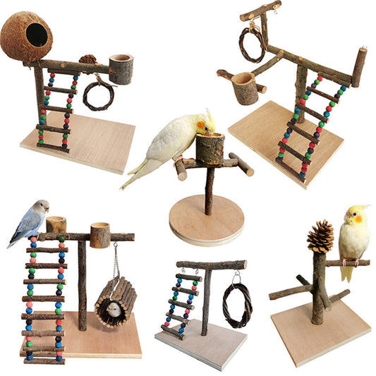 Solid Wood Parrot