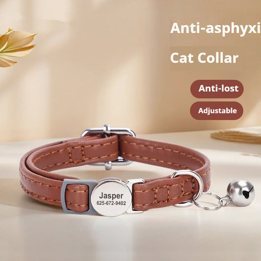 Katzenhalsband mit Gravur zur Verhinderung von Erstickung und Verlust