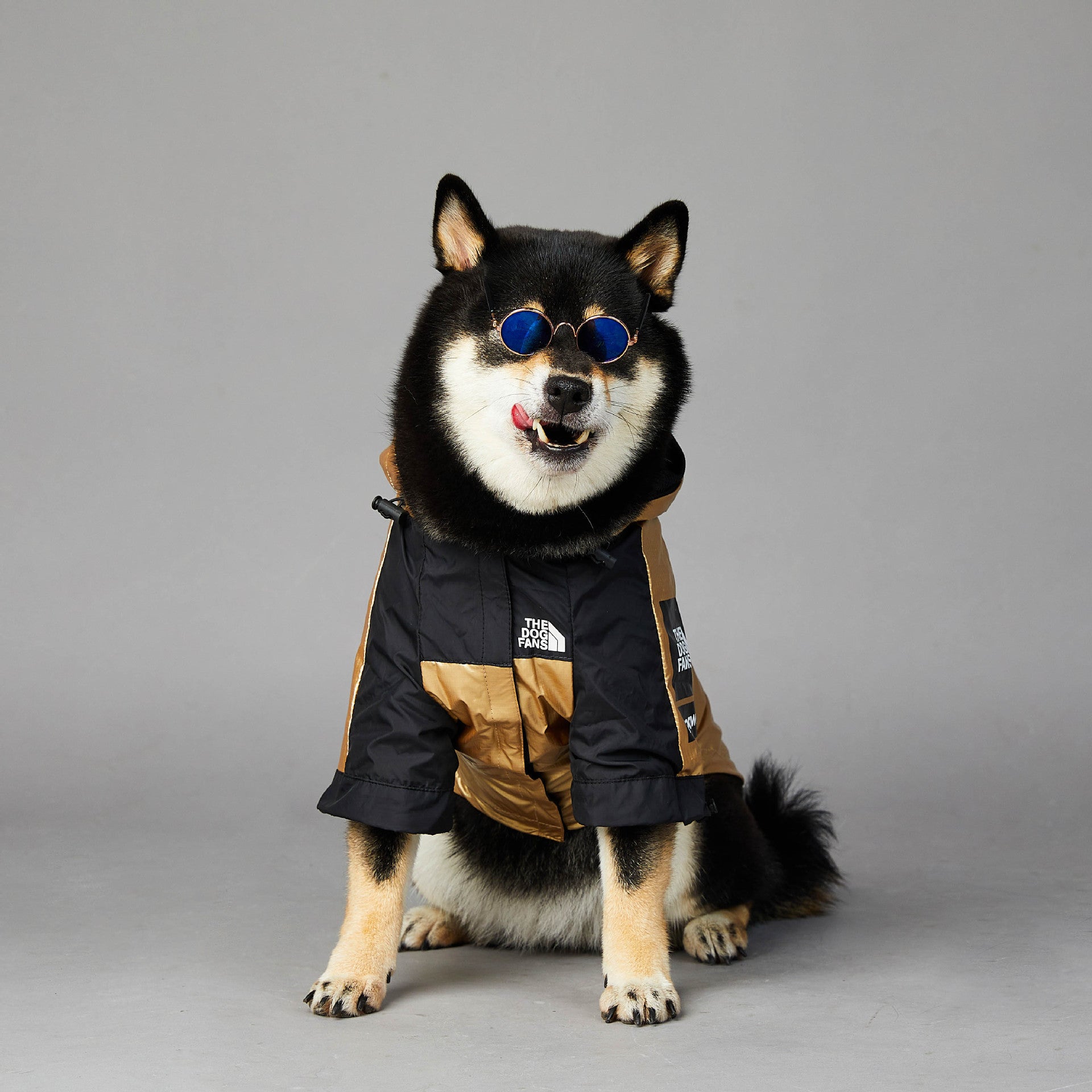 Dog Large Dog Raincoat